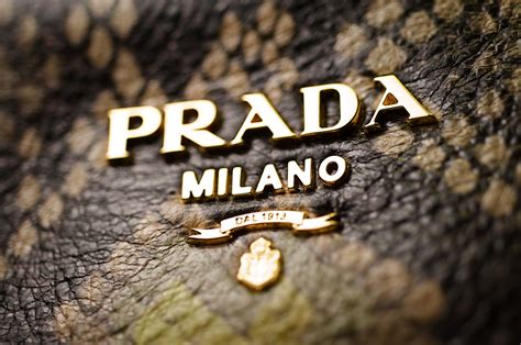 prada article|where did prada originate.